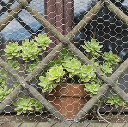 Double twisted hexagonal wire mesh application diagram